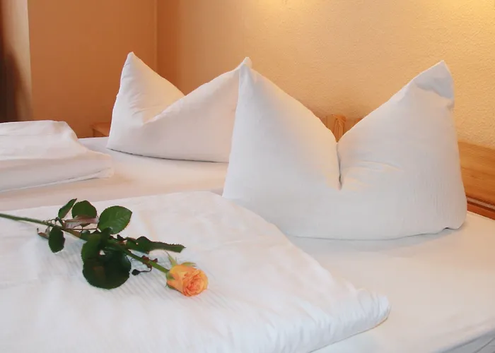 Am Hermannplatz Guest house 2*